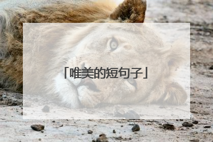 唯美的短句子