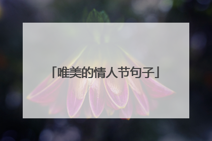 唯美的情人节句子