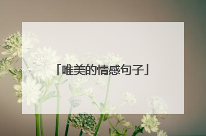 唯美的情感句子
