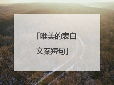 唯美的表白文案短句