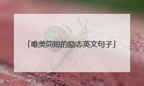 唯美简短的励志英文句子