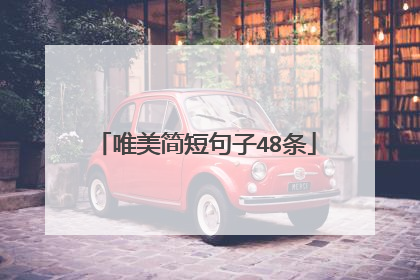唯美简短句子48条