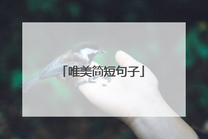 唯美简短句子