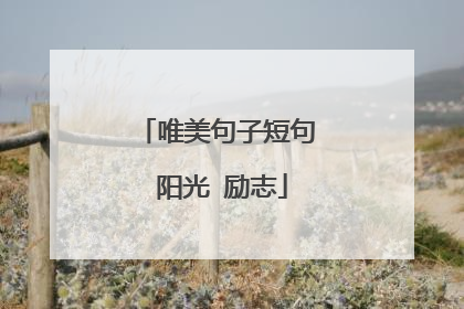 唯美句子短句 阳光 励志