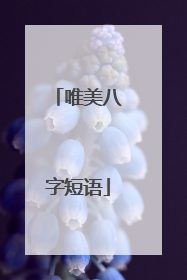 唯美八字短语