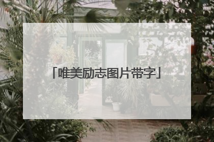 唯美励志图片带字