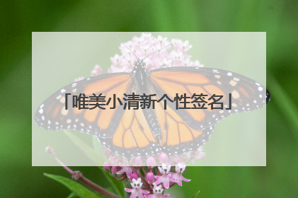 唯美小清新个性签名