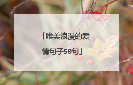唯美浪漫的爱情句子50句