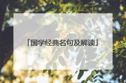 国学经典名句及解读