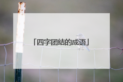 四字团结的成语