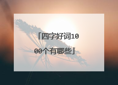 四字好词1000个有哪些