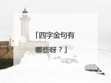 四字金句有哪些呀?
