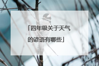 四年级关于天气的谚语有哪些