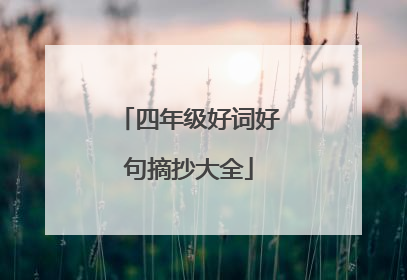 四年级好词好句摘抄大全