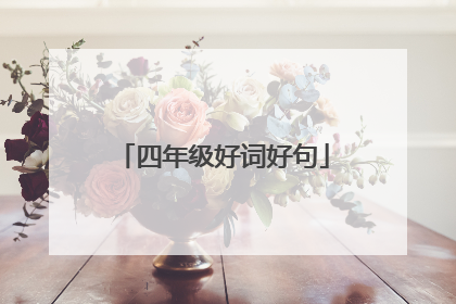 四年级好词好句