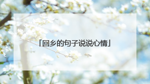回乡的句子说说心情