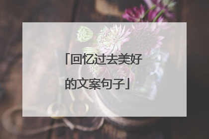 回忆过去美好的文案句子