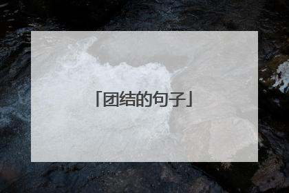 团结的句子