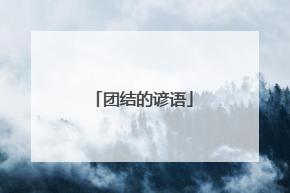 团结的谚语