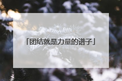 团结就是力量的谱子