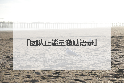 团队正能量激励语录