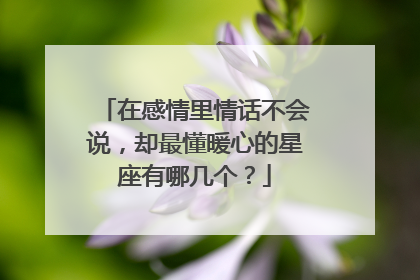 在感情里情话不会说，却最懂暖心的星座有哪几个？