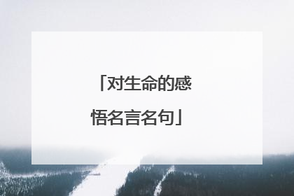 对生命的感悟名言名句