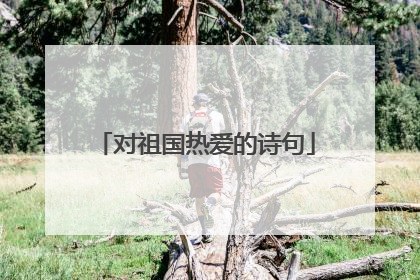 对祖国热爱的诗句