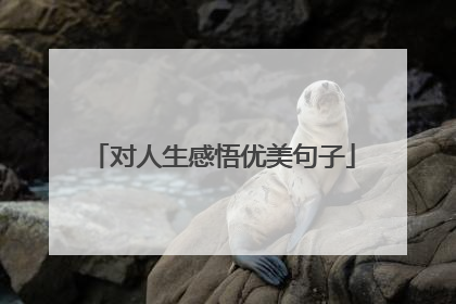 对人生感悟优美句子