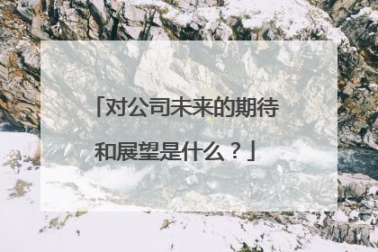 对公司未来的期待和展望是什么?