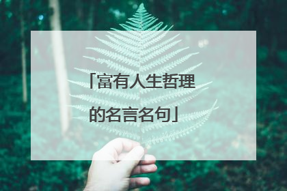 富有人生哲理的名言名句