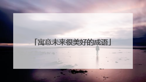 寓意未来很美好的成语