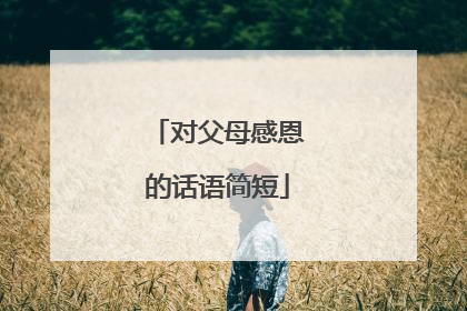 对父母感恩的话语简短