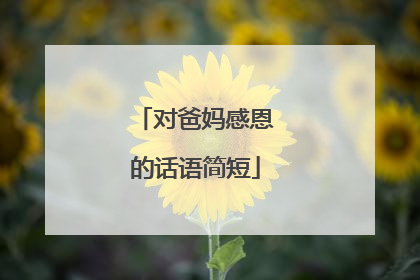 对爸妈感恩的话语简短