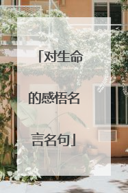 对生命的感悟名言名句