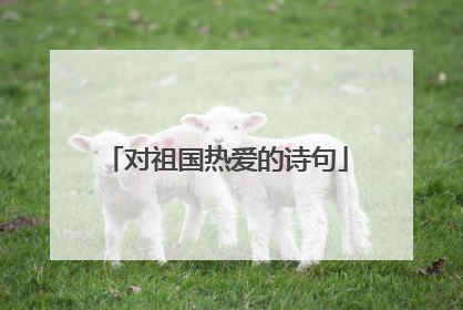 对祖国热爱的诗句