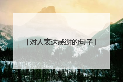 对人表达感谢的句子