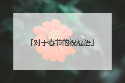 对于春节的祝福语