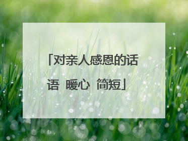 对亲人感恩的话语 暖心 简短