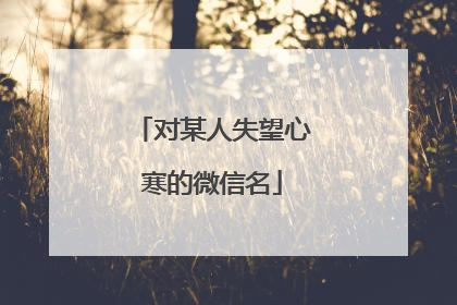 对某人失望心寒的微信名