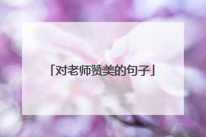 对老师赞美的句子