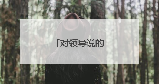 对领导说的感谢的话语