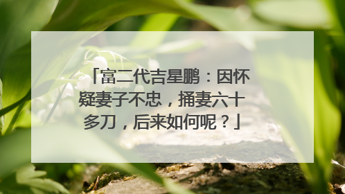 富二代吉星鹏:因怀疑妻子不忠,捅妻六十多刀,后来如何呢?