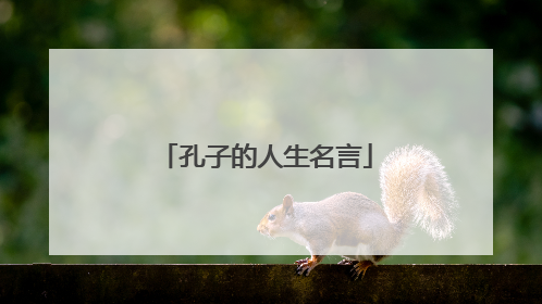孔子的人生名言