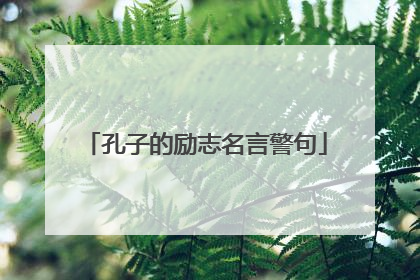 孔子的励志名言警句