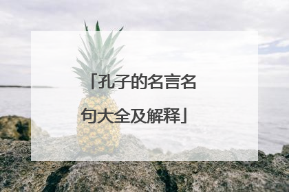 孔子的名言名句大全及解释