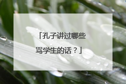 孔子讲过哪些骂学生的话?