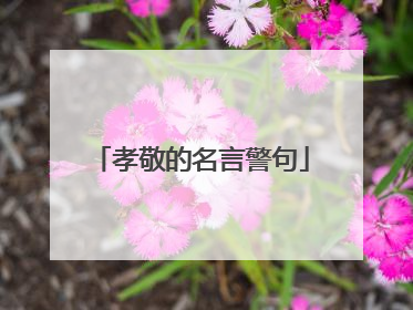 孝敬的名言警句