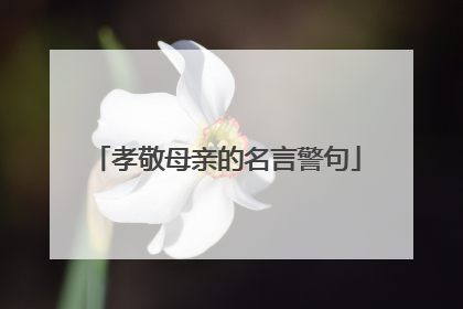 孝敬母亲的名言警句