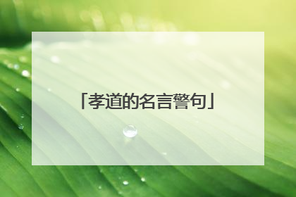 孝道的名言警句